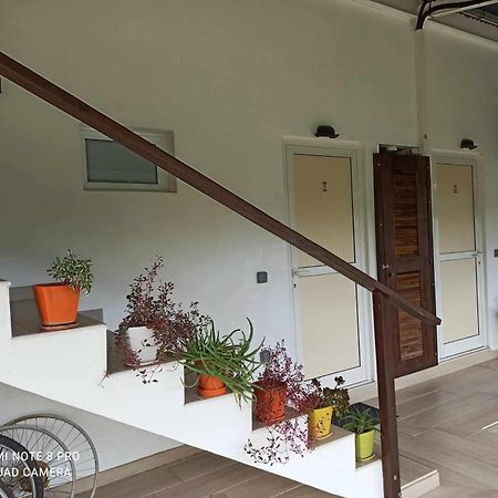 La Maison Du Voyage Tevaitoa Kültér fotó